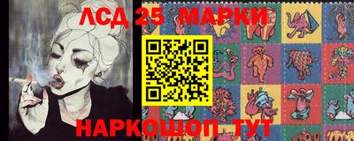 spice Кандалакша