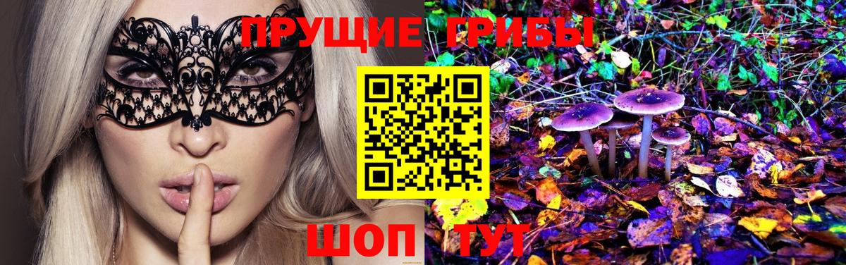 Псилоцибиновые грибы Cubensis Кувандык