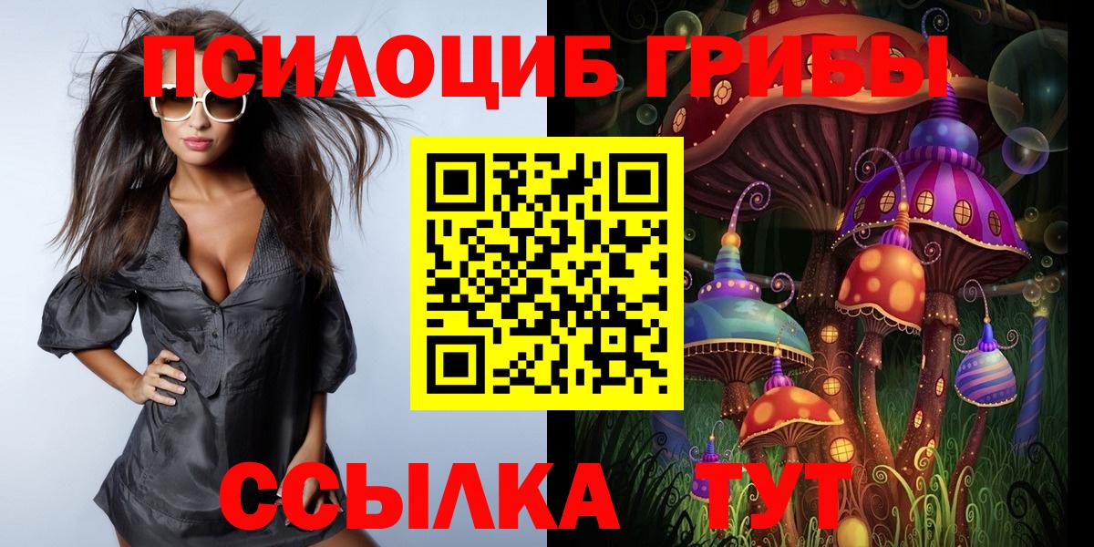 Псилоцибиновые грибы Psilocybe  Вход с VPN  Кувандык 